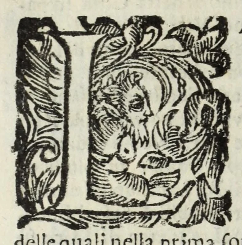 An illustration from Descrittione del Regno di Napoli : diuiso in dodeci prouincie, nella quale con breuità si tratta della fedelissima città di Napoli, e dele cose più notabili di essa, e delle città e terre più illustri del Regno, con le famiglie nobili, non solo di quella, ma dell'altre città di esso Regno : con i vescouadi, & arciuescouadi, e santi, che sono in esso ..., 1671, leaf 162