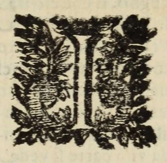 An illustration from Descrittione del Regno di Napoli : diuiso in dodeci prouincie, nella quale con breuità si tratta della fedelissima città di Napoli, e dele cose più notabili di essa, e delle città e terre più illustri del Regno, con le famiglie nobili, non solo di quella, ma dell'altre città di esso Regno : con i vescouadi, & arciuescouadi, e santi, che sono in esso ..., 1671, leaf 17