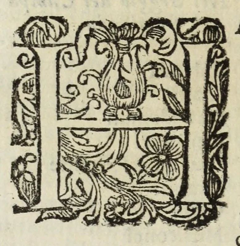 An illustration from Descrittione del Regno di Napoli : diuiso in dodeci prouincie, nella quale con breuità si tratta della fedelissima città di Napoli, e dele cose più notabili di essa, e delle città e terre più illustri del Regno, con le famiglie nobili, non solo di quella, ma dell'altre città di esso Regno : con i vescouadi, & arciuescouadi, e santi, che sono in esso ..., 1671, leaf 176