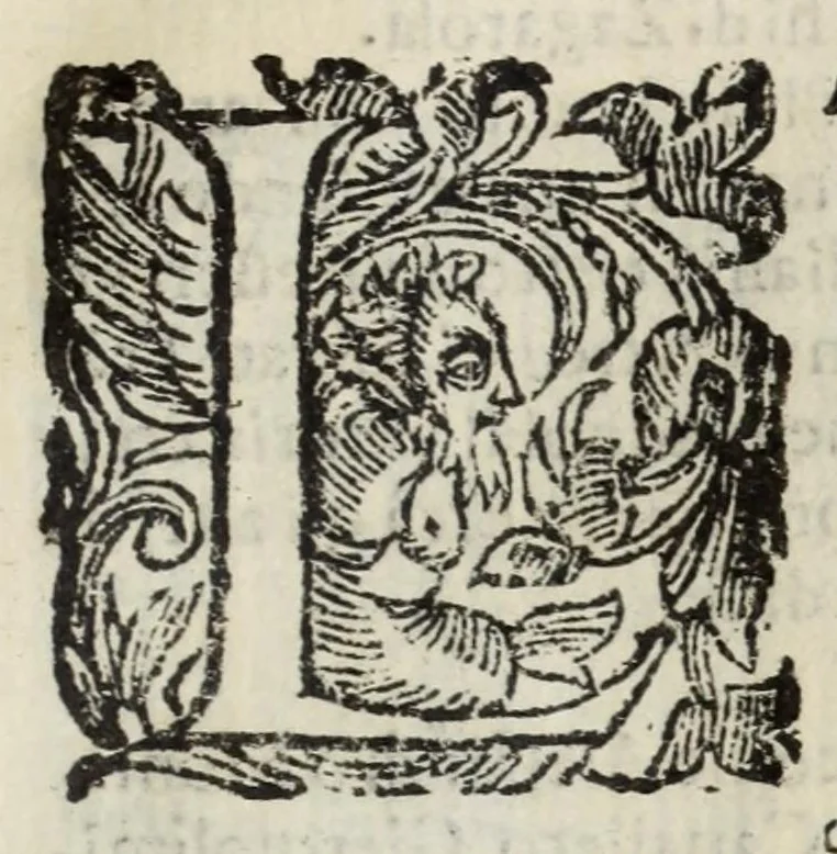 An illustration from Descrittione del Regno di Napoli : diuiso in dodeci prouincie, nella quale con breuità si tratta della fedelissima città di Napoli, e dele cose più notabili di essa, e delle città e terre più illustri del Regno, con le famiglie nobili, non solo di quella, ma dell'altre città di esso Regno : con i vescouadi, & arciuescouadi, e santi, che sono in esso ..., 1671, leaf 177