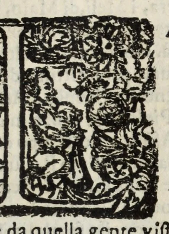 An illustration from Descrittione del Regno di Napoli : diuiso in dodeci prouincie, nella quale con breuità si tratta della fedelissima città di Napoli, e dele cose più notabili di essa, e delle città e terre più illustri del Regno, con le famiglie nobili, non solo di quella, ma dell'altre città di esso Regno : con i vescouadi, & arciuescouadi, e santi, che sono in esso ..., 1671, leaf 179