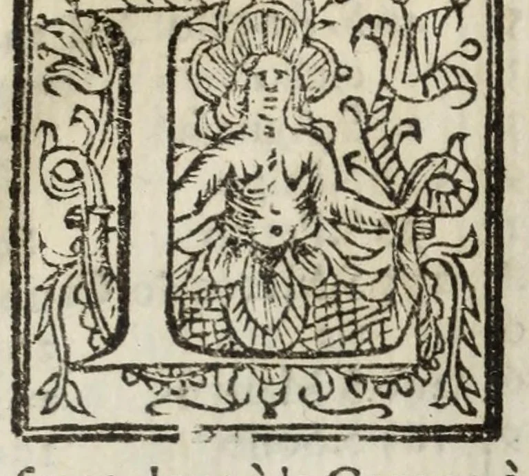 An illustration from Descrittione del Regno di Napoli : diuiso in dodeci prouincie, nella quale con breuità si tratta della fedelissima città di Napoli, e dele cose più notabili di essa, e delle città e terre più illustri del Regno, con le famiglie nobili, non solo di quella, ma dell'altre città di esso Regno : con i vescouadi, & arciuescouadi, e santi, che sono in esso ..., 1671, leaf 185