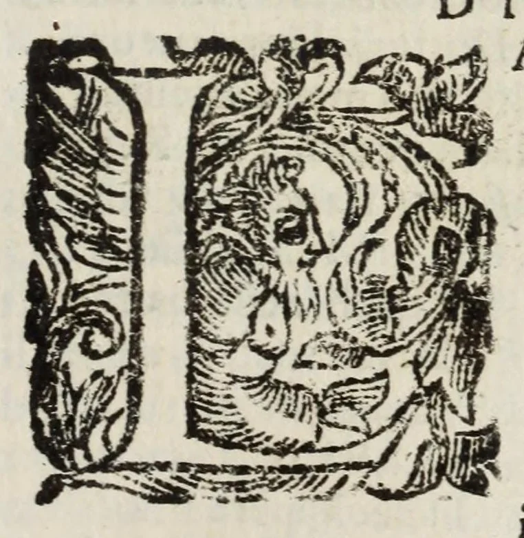 An illustration from Descrittione del Regno di Napoli : diuiso in dodeci prouincie, nella quale con breuità si tratta della fedelissima città di Napoli, e dele cose più notabili di essa, e delle città e terre più illustri del Regno, con le famiglie nobili, non solo di quella, ma dell'altre città di esso Regno : con i vescouadi, & arciuescouadi, e santi, che sono in esso ..., 1671, leaf 187