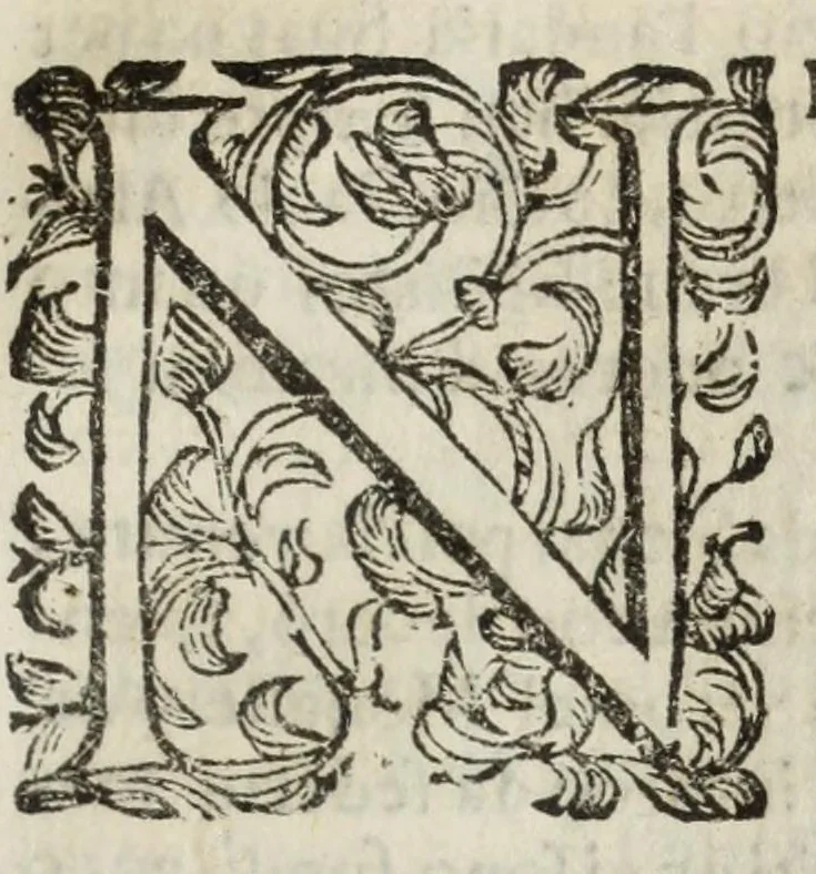 An illustration from Descrittione del Regno di Napoli : diuiso in dodeci prouincie, nella quale con breuità si tratta della fedelissima città di Napoli, e dele cose più notabili di essa, e delle città e terre più illustri del Regno, con le famiglie nobili, non solo di quella, ma dell'altre città di esso Regno : con i vescouadi, & arciuescouadi, e santi, che sono in esso ..., 1671, leaf 189