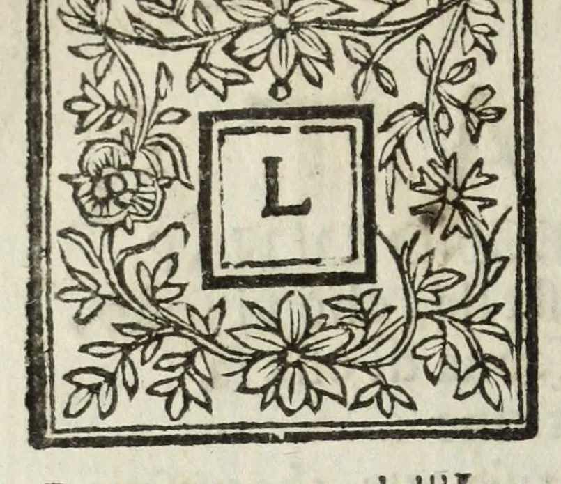 An illustration from Descrittione del Regno di Napoli : diuiso in dodeci prouincie, nella quale con breuità si tratta della fedelissima città di Napoli, e dele cose più notabili di essa, e delle città e terre più illustri del Regno, con le famiglie nobili, non solo di quella, ma dell'altre città di esso Regno : con i vescouadi, & arciuescouadi, e santi, che sono in esso ..., 1671, leaf 192