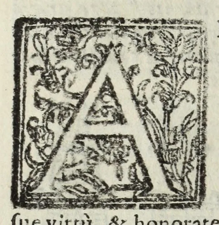 An illustration from Descrittione del Regno di Napoli : diuiso in dodeci prouincie, nella quale con breuità si tratta della fedelissima città di Napoli, e dele cose più notabili di essa, e delle città e terre più illustri del Regno, con le famiglie nobili, non solo di quella, ma dell'altre città di esso Regno : con i vescouadi, & arciuescouadi, e santi, che sono in esso ..., 1671, leaf 194