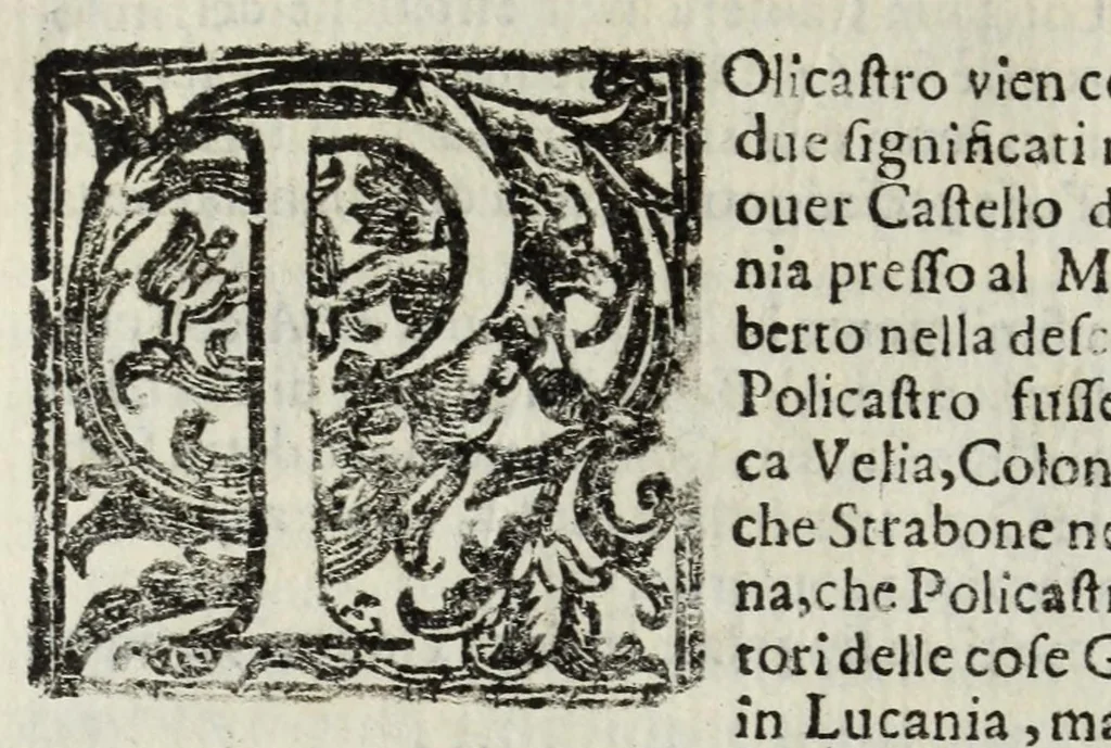 An illustration from Descrittione del Regno di Napoli : diuiso in dodeci prouincie, nella quale con breuità si tratta della fedelissima città di Napoli, e dele cose più notabili di essa, e delle città e terre più illustri del Regno, con le famiglie nobili, non solo di quella, ma dell'altre città di esso Regno : con i vescouadi, & arciuescouadi, e santi, che sono in esso ..., 1671, leaf 200