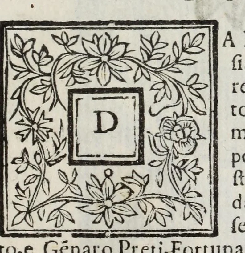 An illustration from Descrittione del Regno di Napoli : diuiso in dodeci prouincie, nella quale con breuità si tratta della fedelissima città di Napoli, e dele cose più notabili di essa, e delle città e terre più illustri del Regno, con le famiglie nobili, non solo di quella, ma dell'altre città di esso Regno : con i vescouadi, & arciuescouadi, e santi, che sono in esso ..., 1671, leaf 201