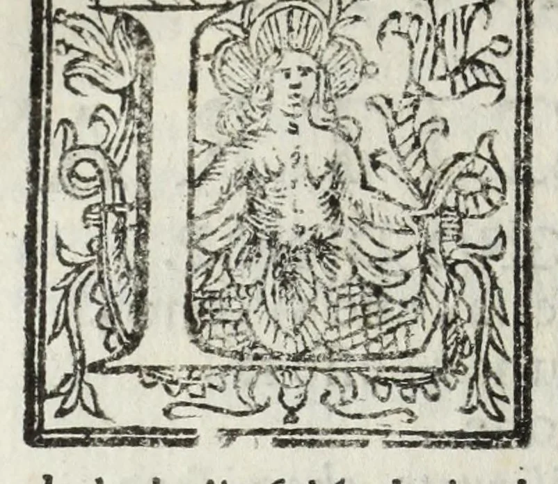 An illustration from Descrittione del Regno di Napoli : diuiso in dodeci prouincie, nella quale con breuità si tratta della fedelissima città di Napoli, e dele cose più notabili di essa, e delle città e terre più illustri del Regno, con le famiglie nobili, non solo di quella, ma dell'altre città di esso Regno : con i vescouadi, & arciuescouadi, e santi, che sono in esso ..., 1671, leaf 204