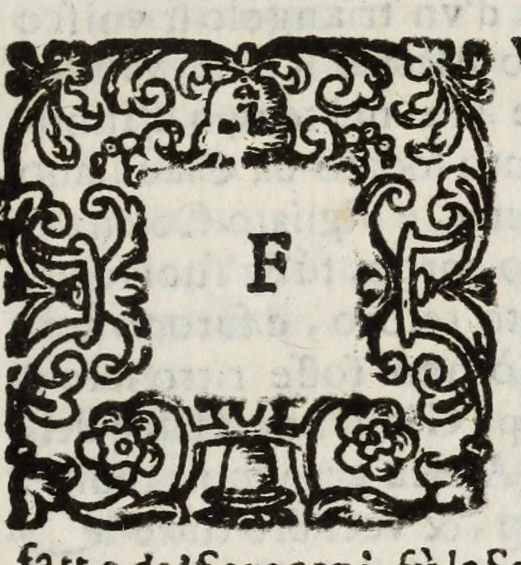 An illustration from Descrittione del Regno di Napoli : diuiso in dodeci prouincie, nella quale con breuità si tratta della fedelissima città di Napoli, e dele cose più notabili di essa, e delle città e terre più illustri del Regno, con le famiglie nobili, non solo di quella, ma dell'altre città di esso Regno : con i vescouadi, & arciuescouadi, e santi, che sono in esso ..., 1671, leaf 207