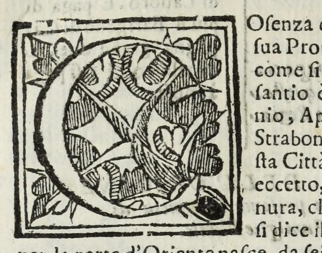 An illustration from Descrittione del Regno di Napoli : diuiso in dodeci prouincie, nella quale con breuità si tratta della fedelissima città di Napoli, e dele cose più notabili di essa, e delle città e terre più illustri del Regno, con le famiglie nobili, non solo di quella, ma dell'altre città di esso Regno : con i vescouadi, & arciuescouadi, e santi, che sono in esso ..., 1671, leaf 208