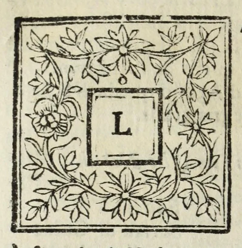 An illustration from Descrittione del Regno di Napoli : diuiso in dodeci prouincie, nella quale con breuità si tratta della fedelissima città di Napoli, e dele cose più notabili di essa, e delle città e terre più illustri del Regno, con le famiglie nobili, non solo di quella, ma dell'altre città di esso Regno : con i vescouadi, & arciuescouadi, e santi, che sono in esso ..., 1671, leaf 212