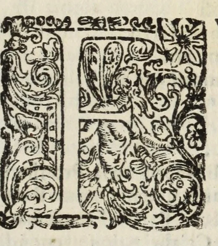 An illustration from Descrittione del Regno di Napoli : diuiso in dodeci prouincie, nella quale con breuità si tratta della fedelissima città di Napoli, e dele cose più notabili di essa, e delle città e terre più illustri del Regno, con le famiglie nobili, non solo di quella, ma dell'altre città di esso Regno : con i vescouadi, & arciuescouadi, e santi, che sono in esso ..., 1671, leaf 213