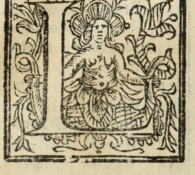 An illustration from Descrittione del Regno di Napoli : diuiso in dodeci prouincie, nella quale con breuità si tratta della fedelissima città di Napoli, e dele cose più notabili di essa, e delle città e terre più illustri del Regno, con le famiglie nobili, non solo di quella, ma dell'altre città di esso Regno : con i vescouadi, & arciuescouadi, e santi, che sono in esso ..., 1671, leaf 219