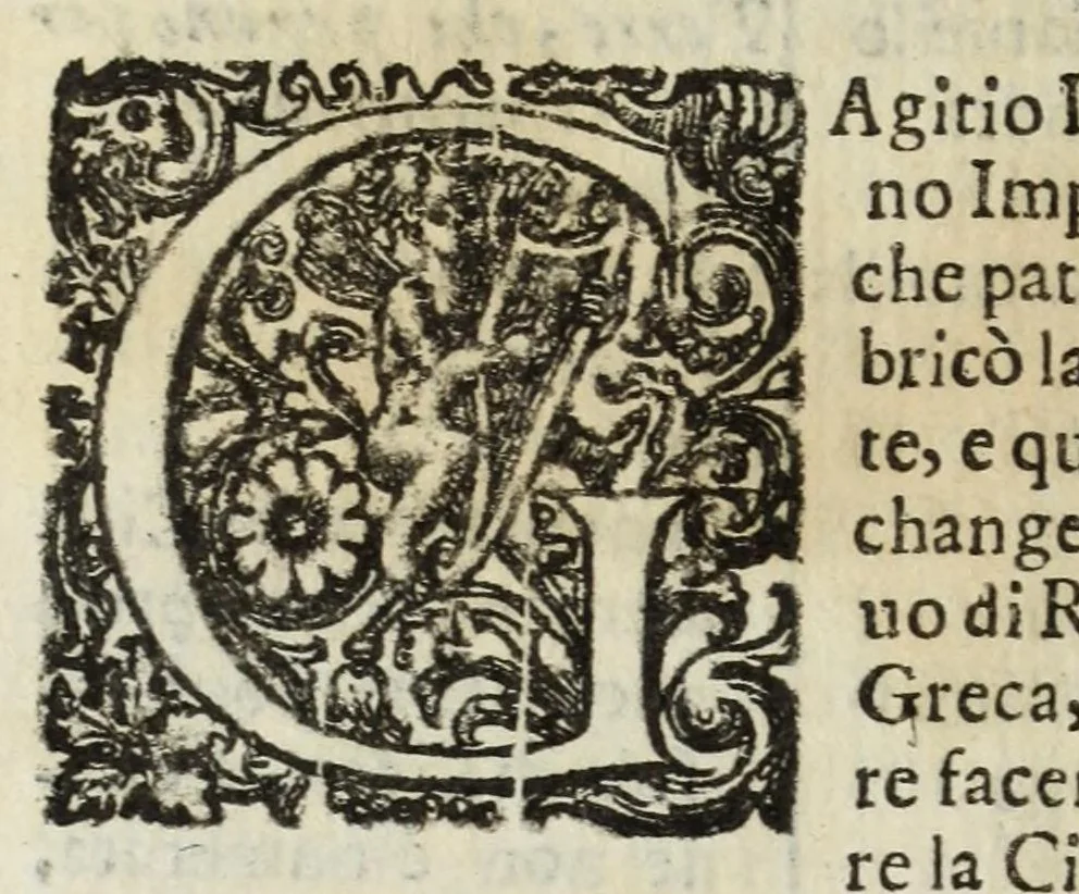 An illustration from Descrittione del Regno di Napoli : diuiso in dodeci prouincie, nella quale con breuità si tratta della fedelissima città di Napoli, e dele cose più notabili di essa, e delle città e terre più illustri del Regno, con le famiglie nobili, non solo di quella, ma dell'altre città di esso Regno : con i vescouadi, & arciuescouadi, e santi, che sono in esso ..., 1671, leaf 222