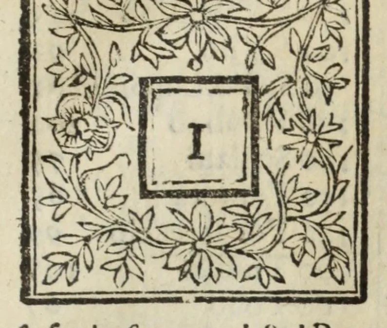 An illustration from Descrittione del Regno di Napoli : diuiso in dodeci prouincie, nella quale con breuità si tratta della fedelissima città di Napoli, e dele cose più notabili di essa, e delle città e terre più illustri del Regno, con le famiglie nobili, non solo di quella, ma dell'altre città di esso Regno : con i vescouadi, & arciuescouadi, e santi, che sono in esso ..., 1671, leaf 251