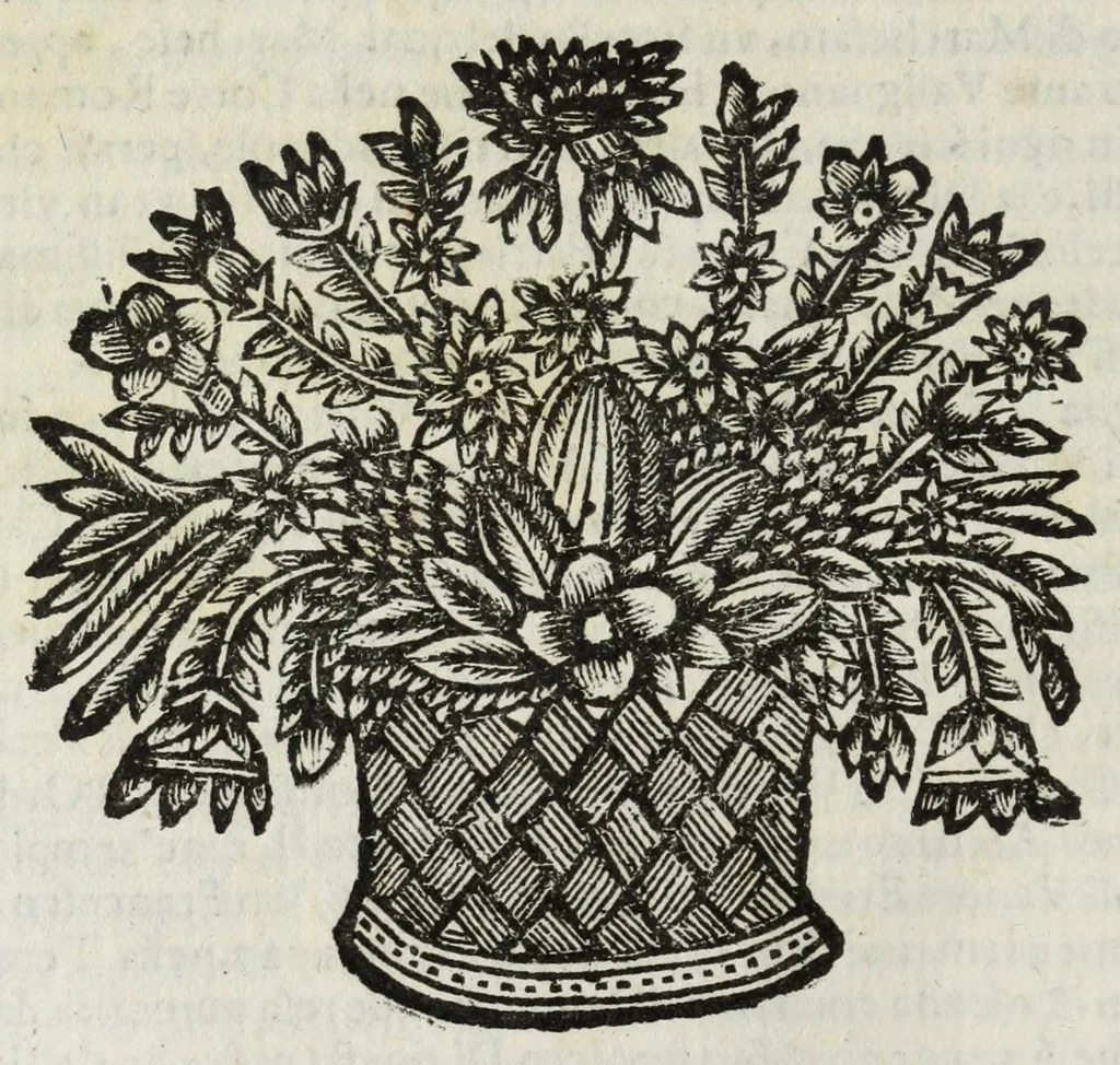 An illustration from Descrittione del Regno di Napoli : diuiso in dodeci prouincie, nella quale con breuità si tratta della fedelissima città di Napoli, e dele cose più notabili di essa, e delle città e terre più illustri del Regno, con le famiglie nobili, non solo di quella, ma dell'altre città di esso Regno : con i vescouadi, & arciuescouadi, e santi, che sono in esso ..., 1671, leaf 260