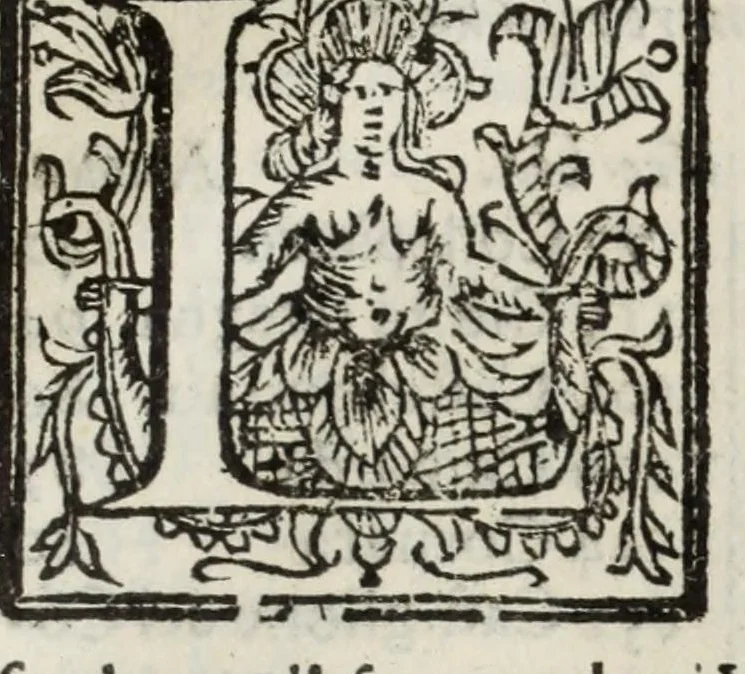 An illustration from Descrittione del Regno di Napoli : diuiso in dodeci prouincie, nella quale con breuità si tratta della fedelissima città di Napoli, e dele cose più notabili di essa, e delle città e terre più illustri del Regno, con le famiglie nobili, non solo di quella, ma dell'altre città di esso Regno : con i vescouadi, & arciuescouadi, e santi, che sono in esso ..., 1671, leaf 263