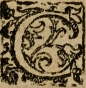 An illustration from Descrittione di Roma antica e moderna : nella quale si contengono chiese, monasterij, hospedali, compagnie, collegij e seminarij, tempij, teatri, anfiteatri, naumachie, cerchi, fori, curie, palazzi, e statue, librerie, musei, pitture, sculture, & i nomi de gli artefici : indice de'sommi pontefici, imperatori e duchi : con due copiosissime tauole, 1643, leaf 407