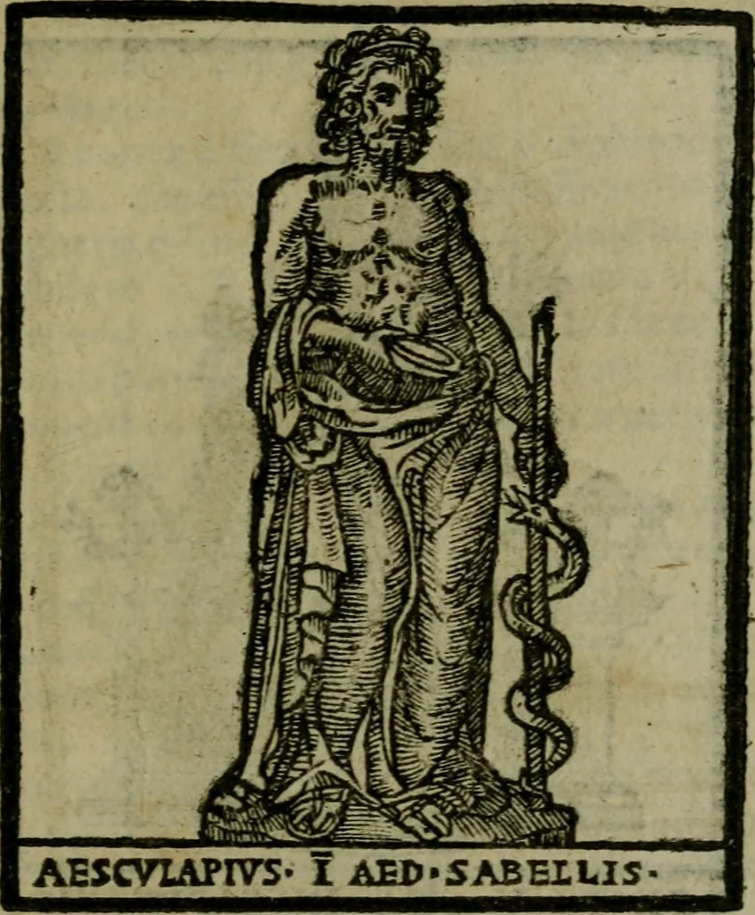 An illustration from Descrittione di Roma antica e moderna : nella quale si contengono chiese, monasterij, hospedali, compagnie, collegij e seminarij, tempij, teatri, anfiteatri, naumachie, cerchi, fori, curie, palazzi, e statue, librerie, musei, pitture, sculture, & i nomi de gli artefici : indice de'sommi pontefici, imperatori e duchi : con due copiosissime tauole, 1643, leaf 578