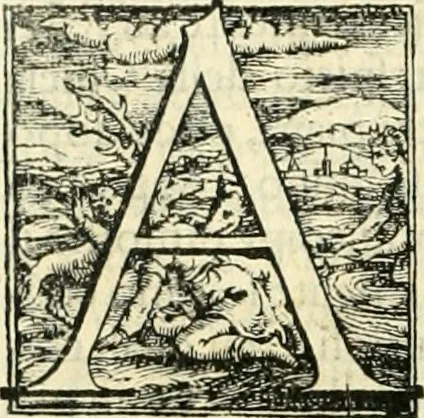 An illustration from Descrittione di tutta Italia, 1550, leaf 219