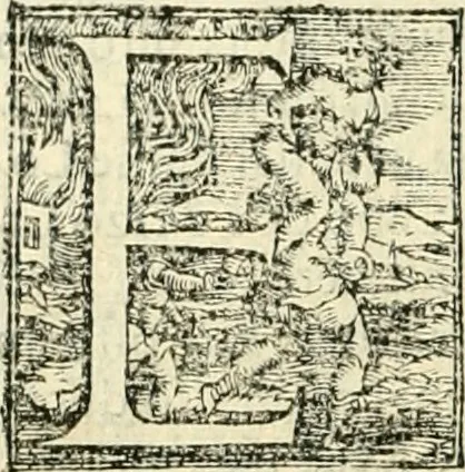 An illustration from Descrittione di tutta Italia, 1550, leaf 505
