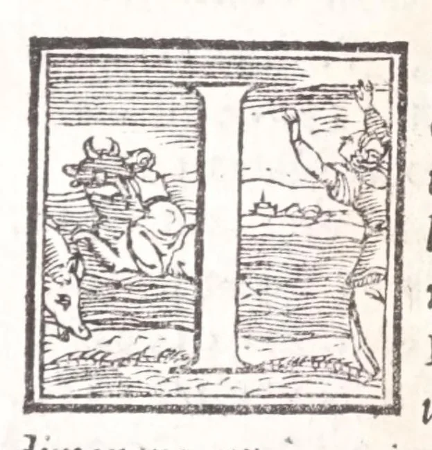 An illustration from Descrittione di tvtta Italia di F. Leandro Alberti bolognese : nella qvale si contiene il sito di essa, l'origine, & le Signorie della Città, & de i Castelli, co i nomi antichi, & moderni, i costumi de' popoli, le conditioni de i paesi : et piv, gli hvomini famosi, che l'hanno illustrata, i Monti, i Laghi, i Fiumi, le Fontane, i Bagni, le Minere; con tutte l'opere marauigliose in lei dalla Natura prodotte, 1553, leaf 1006