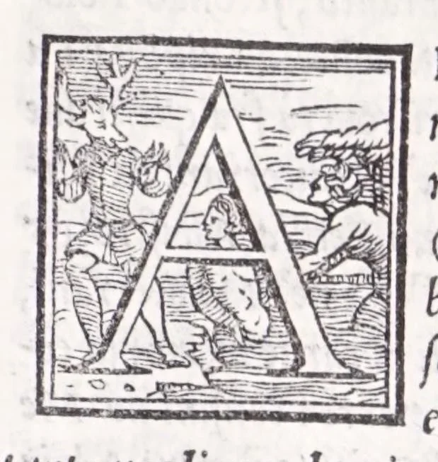 An illustration from Descrittione di tvtta Italia di F. Leandro Alberti bolognese : nella qvale si contiene il sito di essa, l'origine, & le Signorie della Città, & de i Castelli, co i nomi antichi, & moderni, i costumi de' popoli, le conditioni de i paesi : et piv, gli hvomini famosi, che l'hanno illustrata, i Monti, i Laghi, i Fiumi, le Fontane, i Bagni, le Minere; con tutte l'opere marauigliose in lei dalla Natura prodotte, 1553, leaf 463