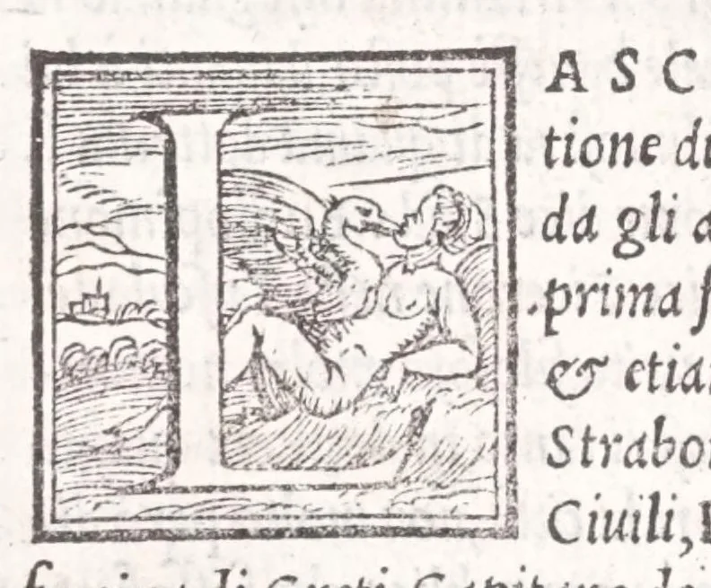 An illustration from Descrittione di tvtta Italia di F. Leandro Alberti bolognese : nella qvale si contiene il sito di essa, l'origine, & le Signorie della Città, & de i Castelli, co i nomi antichi, & moderni, i costumi de' popoli, le conditioni de i paesi : et piv, gli hvomini famosi, che l'hanno illustrata, i Monti, i Laghi, i Fiumi, le Fontane, i Bagni, le Minere; con tutte l'opere marauigliose in lei dalla Natura prodotte, 1553, leaf 496