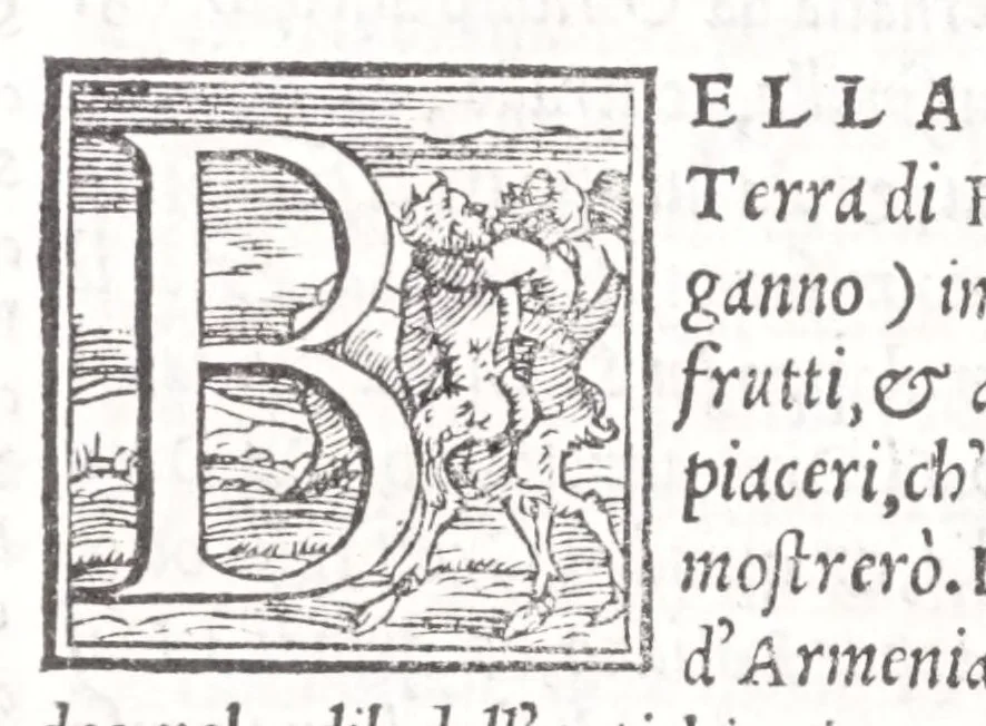 An illustration from Descrittione di tvtta Italia di F. Leandro Alberti bolognese : nella qvale si contiene il sito di essa, l'origine, & le Signorie della Città, & de i Castelli, co i nomi antichi, & moderni, i costumi de' popoli, le conditioni de i paesi : et piv, gli hvomini famosi, che l'hanno illustrata, i Monti, i Laghi, i Fiumi, le Fontane, i Bagni, le Minere; con tutte l'opere marauigliose in lei dalla Natura prodotte, 1553, leaf 510