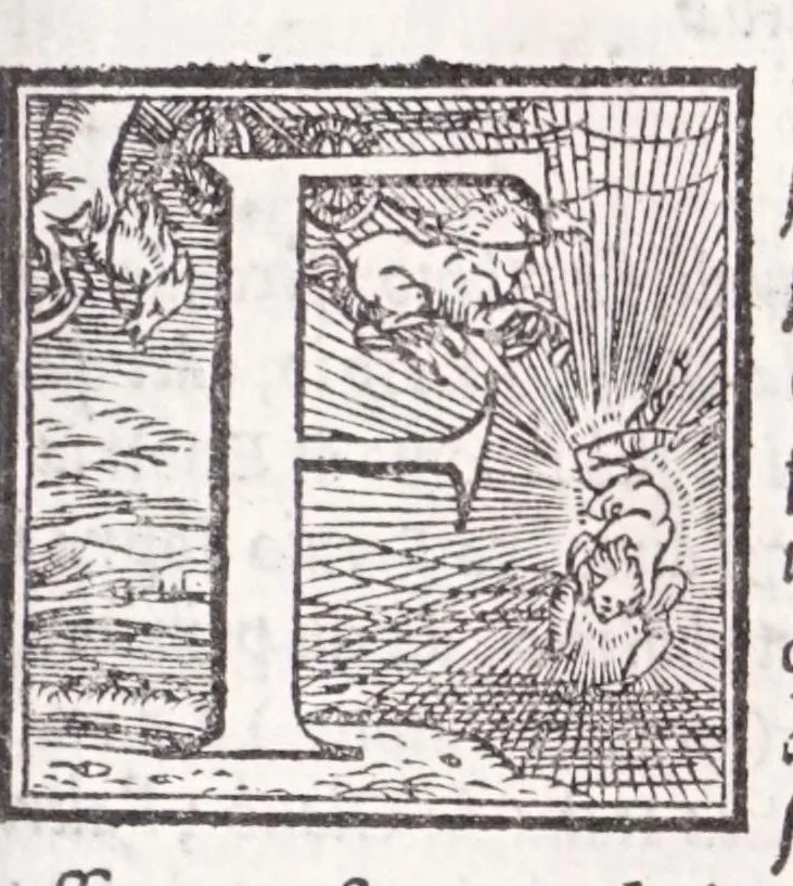 An illustration from Descrittione di tvtta Italia di F. Leandro Alberti bolognese : nella qvale si contiene il sito di essa, l'origine, & le Signorie della Città, & de i Castelli, co i nomi antichi, & moderni, i costumi de' popoli, le conditioni de i paesi : et piv, gli hvomini famosi, che l'hanno illustrata, i Monti, i Laghi, i Fiumi, le Fontane, i Bagni, le Minere; con tutte l'opere marauigliose in lei dalla Natura prodotte, 1553, leaf 81