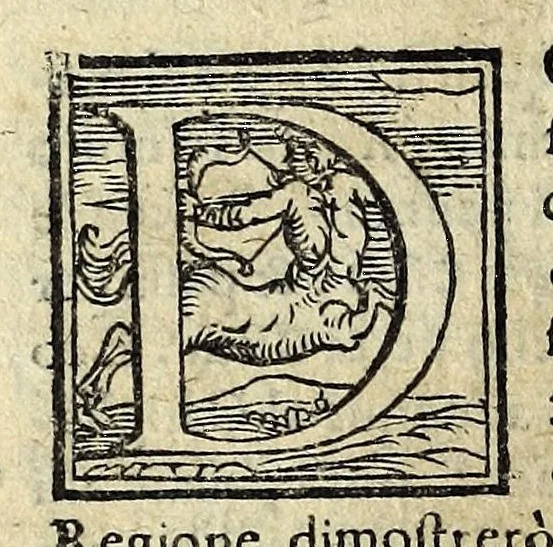 An illustration from Descrittione di tvtta Italia ... : nella quale si contiene il sito di essa, l'origine, et le signorie delle città & delle castella co i nomi antichi & moderni, i costumi de popoli, le conditioni de paesi, et piv gli hvomini famosi che l'hanno illustrata, i monti, i laghi, i fiumi, le fontane, i bagni, le minere, con tutte l'opre marauigliose in lei dalla natura prodotte, 1551, leaf 312
