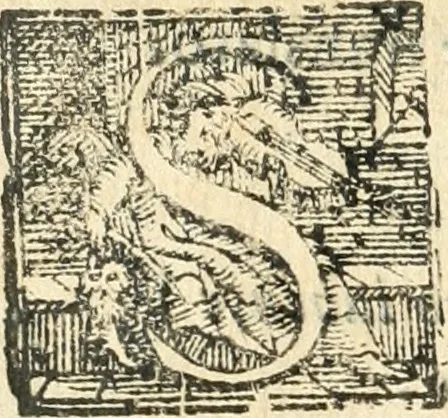 An illustration from Descrizion delle feste fatte in Firenze per la canonizzazione di Sto. Andrea Corsini, 1632, leaf 9