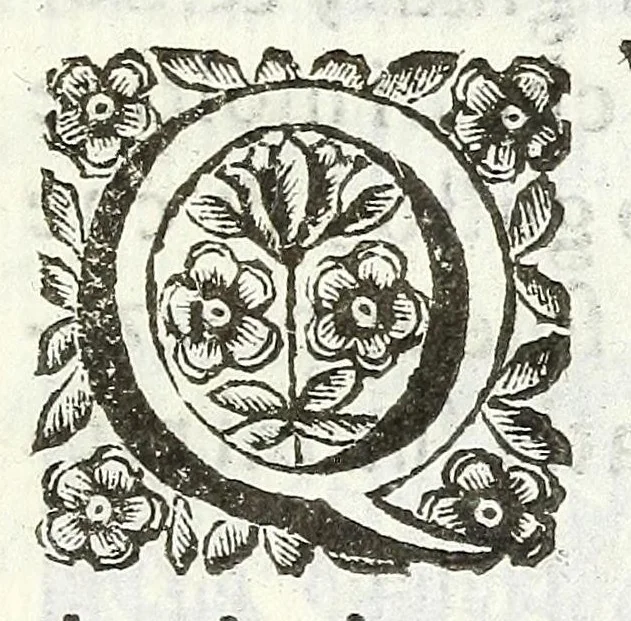 An illustration from Descrizione del Cataio, luogo del marchese Pio Enea degli Obizi, condottiero di gente d'armi et collateral generale della Serenissima Republica di Venezia : contenente diuersità d'istorie, 1669, leaf 363