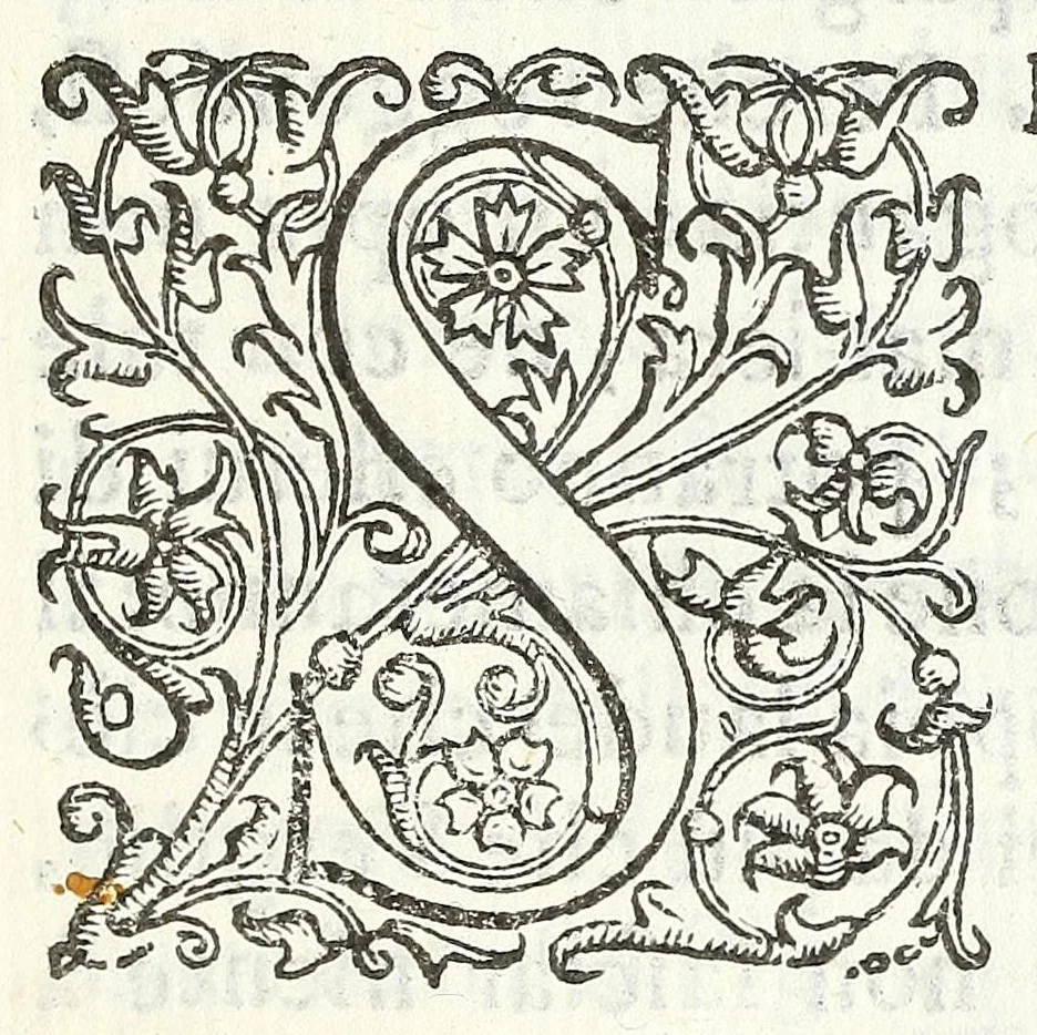 An illustration from Descrizione del Cataio, luogo del marchese Pio Enea degli Obizi, condottiero di gente d'armi et collateral generale della Serenissima Republica di Venezia : contenente diuersità d'istorie, 1669, leaf 9