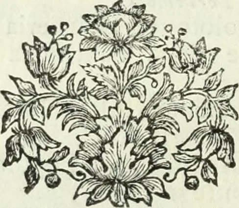 An illustration from Descrizione della provincia del Mugello con la carta geografica del medesimo : aggiuntavi un'antica cronica della nobil famiglia da Lutiano creduta di consorteria delli Ubaldini già signori dell'istesso Mugello, 1748, leaf 19