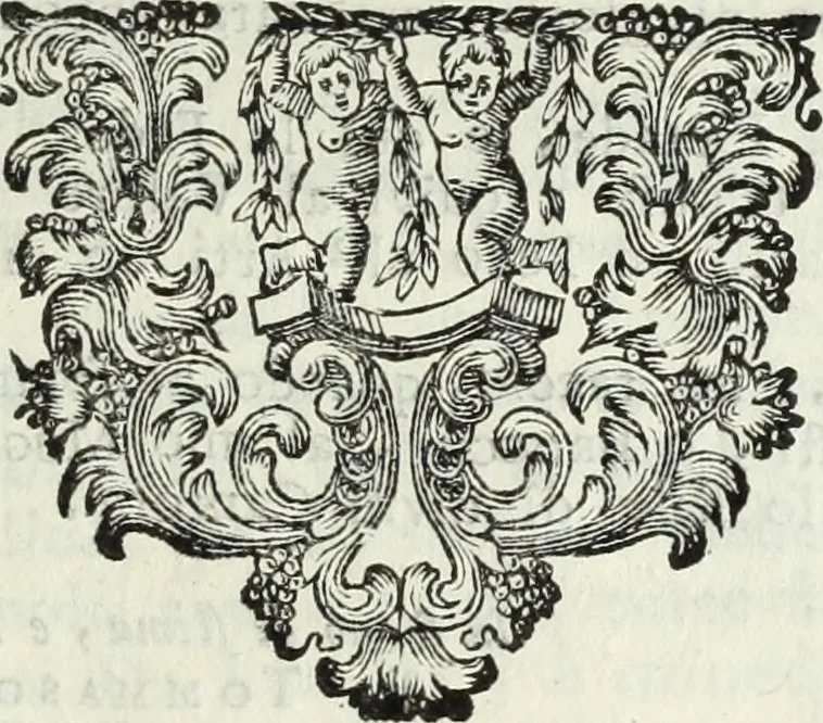 An illustration from Descrizione della provincia del Mugello con la carta geografica del medesimo : aggiuntavi un'antica cronica della nobil famiglia da Lutiano creduta di consorteria delli Ubaldini già signori dell'istesso Mugello, 1748, leaf 22