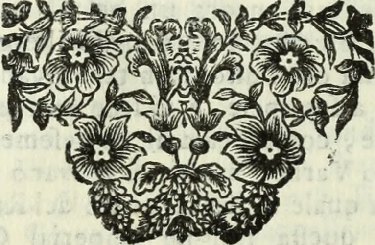 An illustration from Descrizione della provincia del Mugello con la carta geografica del medesimo : aggiuntavi un'antica cronica della nobil famiglia da Lutiano creduta di consorteria delli Ubaldini già signori dell'istesso Mugello, 1748, leaf 319