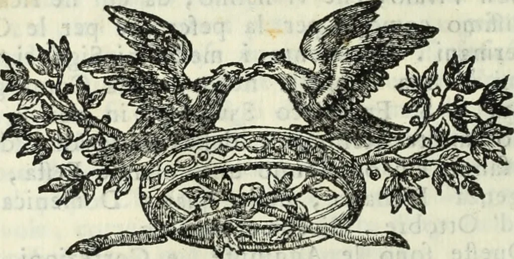 An illustration from Descrizione della provincia del Mugello con la carta geografica del medesimo : aggiuntavi un'antica cronica della nobil famiglia da Lutiano creduta di consorteria delli Ubaldini già signori dell'istesso Mugello, 1748, leaf 347