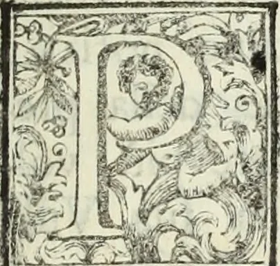 An illustration from Descrizione della provincia del Mugello con la carta geografica del medesimo : aggiuntavi un'antica cronica della nobil famiglia da Lutiano creduta di consorteria delli Ubaldini già signori dell'istesso Mugello, 1748, leaf 6