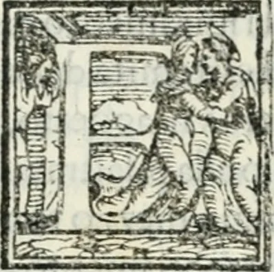An illustration from Descrizione della entrata della serenissima regina Giovanna d'Avstria et dell'apparato, fatto in Firenze nella venuta, & per le felicissime nozze di Sua Altezza et dell'illustrissimo, & eccellentissimo s. Don Francesco de Medici, principe di Fiorenza, & di Siena, 1566, leaf 106