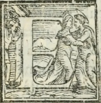 An illustration from Descrizione della entrata della serenissima regina Giovanna d'Avstria et dell'apparato, fatto in Firenze nella venuta, & per le felicissime nozze di Sua Altezza et dell'illustrissimo, & eccellentissimo s. Don Francesco de Medici, principe di Fiorenza, & di Siena, 1566, leaf 128