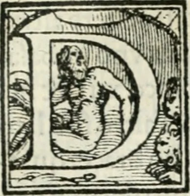 An illustration from Descrizione della entrata della serenissima regina Giovanna d'Avstria et dell'apparato, fatto in Firenze nella venuta, & per le felicissime nozze di Sua Altezza et dell'illustrissimo, & eccellentissimo s. Don Francesco de Medici, principe di Fiorenza, & di Siena, 1566, leaf 16