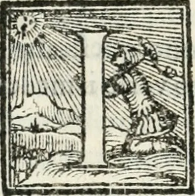 An illustration from Descrizione della entrata della serenissima regina Giovanna d'Avstria et dell'apparato, fatto in Firenze nella venuta, & per le felicissime nozze di Sua Altezza et dell'illustrissimo, & eccellentissimo s. Don Francesco de Medici, principe di Fiorenza, & di Siena, 1566, leaf 69