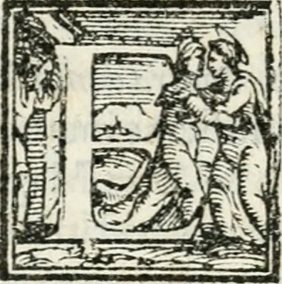 An illustration from Descrizione della entrata della serenissima regina Giovanna d'Avstria et dell'apparato, fatto in Firenze nella venuta, & per le felicissime nozze di Sua Altezza et dell'illustrissimo, & eccellentissimo s. Don Francesco de Medici, principe di Fiorenza, & di Siena, 1566, leaf 97