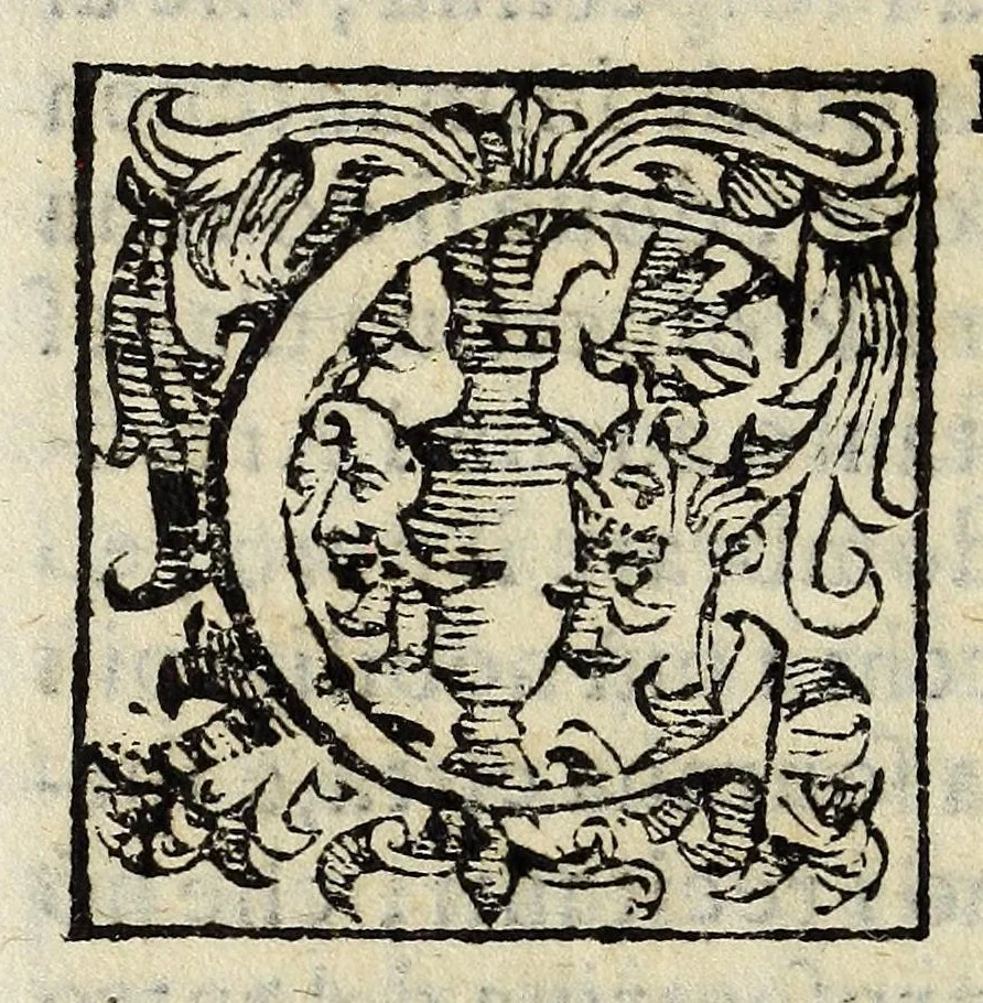 An illustration from Descrizione dellapparato, e degl'intermedi : fatti per la commedia rappresentata in Firenze : nelle nozze de' serenissimi Don Ferdinando Medici, e Madama Cristina di Loreno, gran duchi di Toscana, 1589, leaf 28