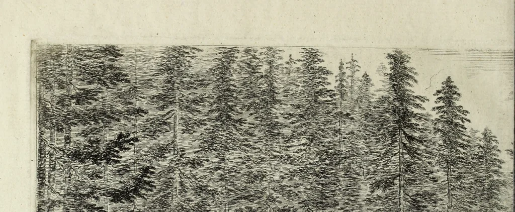 An illustration from Descrizione della regia villa, fontane, e fabbriche di Pratolino, 1742, leaf 49
