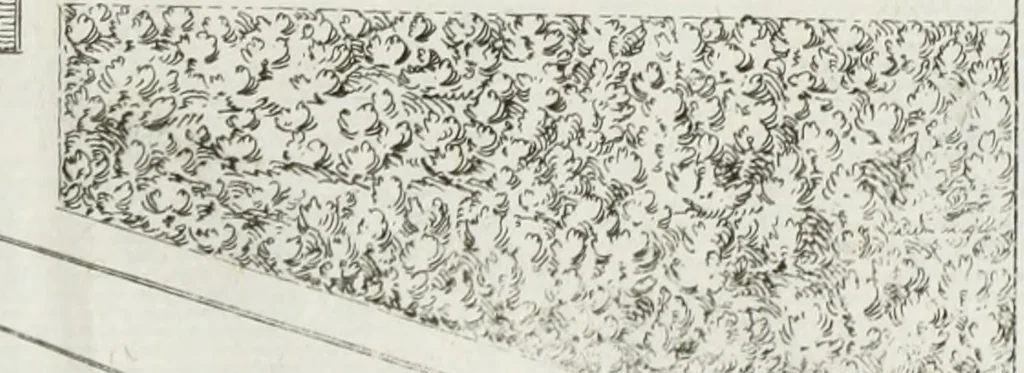 An illustration from Descrizione della regia villa, fontane, e fabbriche di Pratolino, 1742, leaf 62
