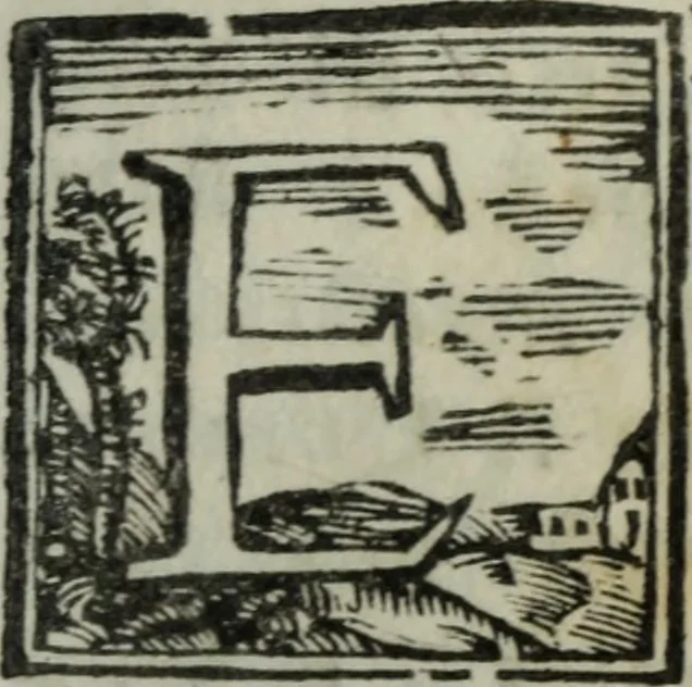 An illustration from Descrizione delle sculture, pitture et architetture della città, e sobborghi di Pescia nella Toscana, 1772, leaf 20