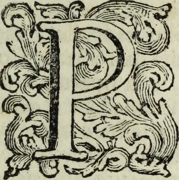 An illustration from Descrizione delle pitture, sculture, ed architetture che si osservano nella città di Mantova e ne' suoi contorni : data in luce a comodo singolarmente de' forestieri, 1763, leaf 14
